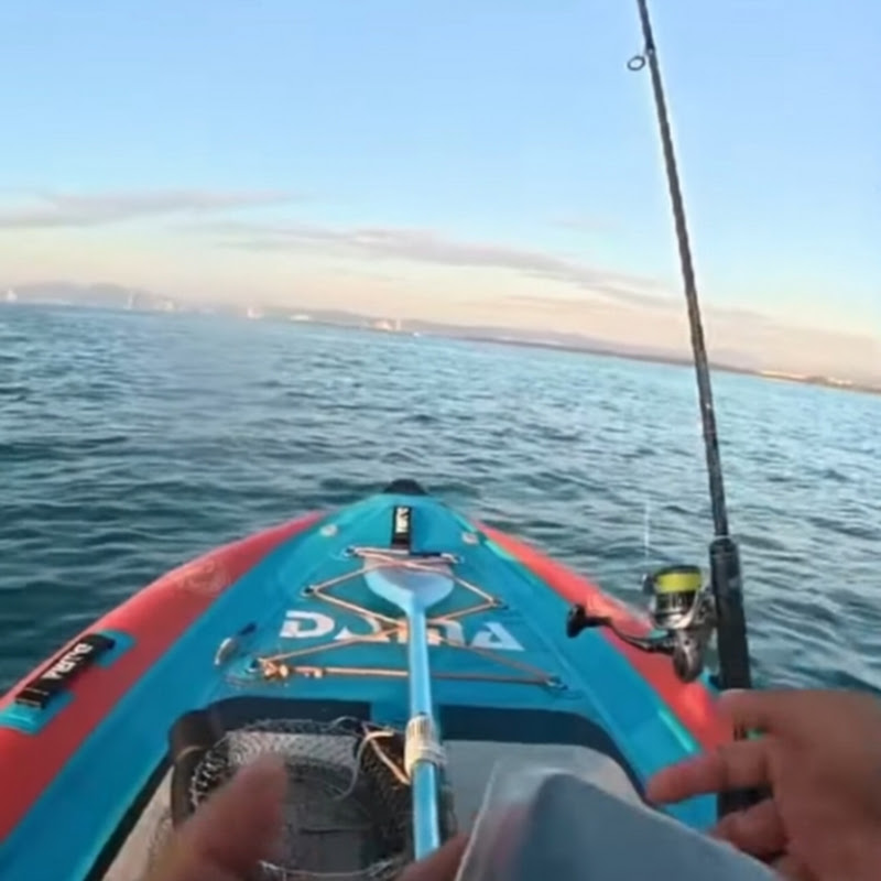 Go Fishing 