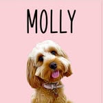 Molly 🐶 Nicola 👩🏼