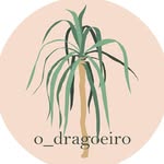 o_dragoeiro 🌿