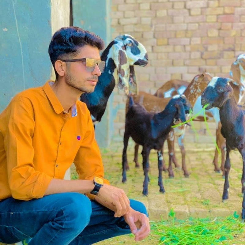 Qadeer vlogs