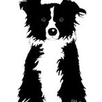 Border Collie Rescue