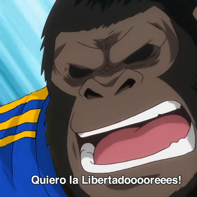 EL KAIZA