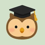 Korean Owl Academy with Seul 🦉