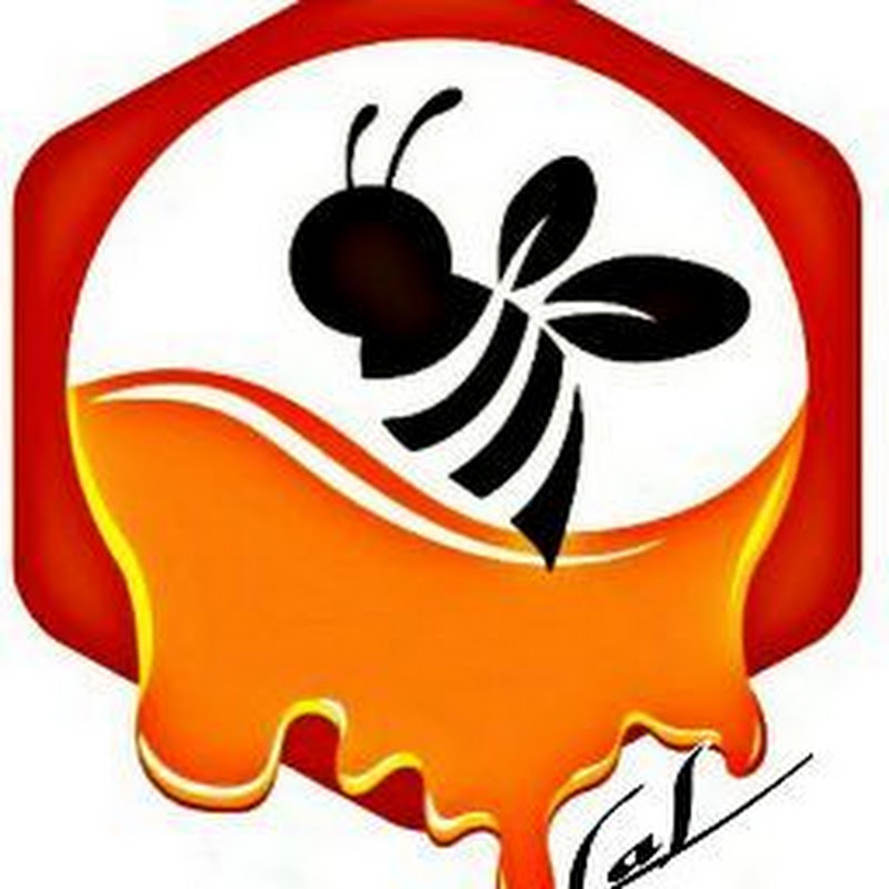 Bee ViBeS By LaL
