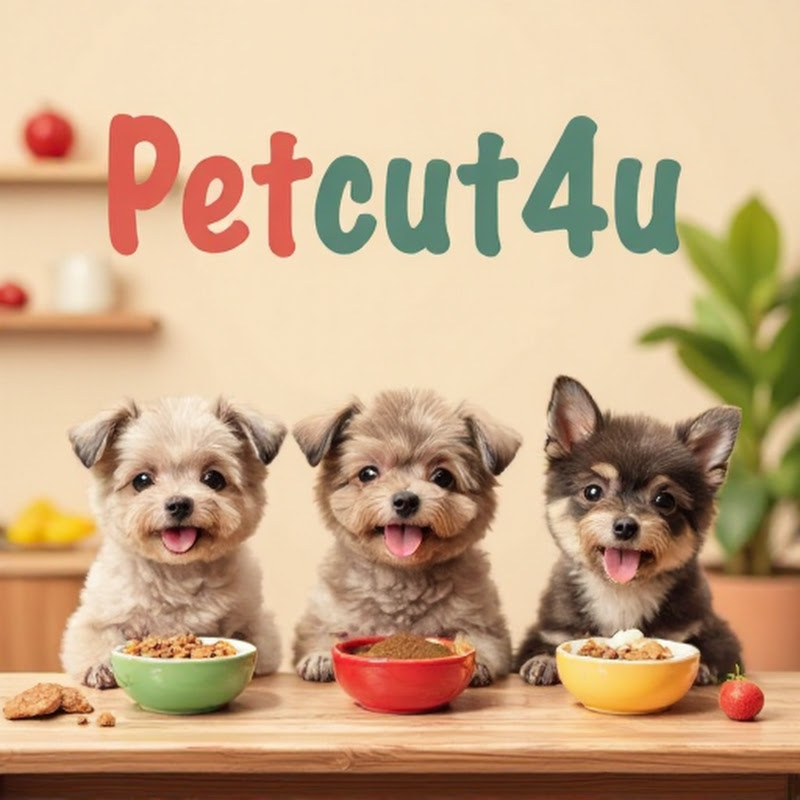petcut4u