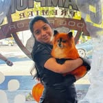 Rox - Pet Groomer, Peluquería Canina