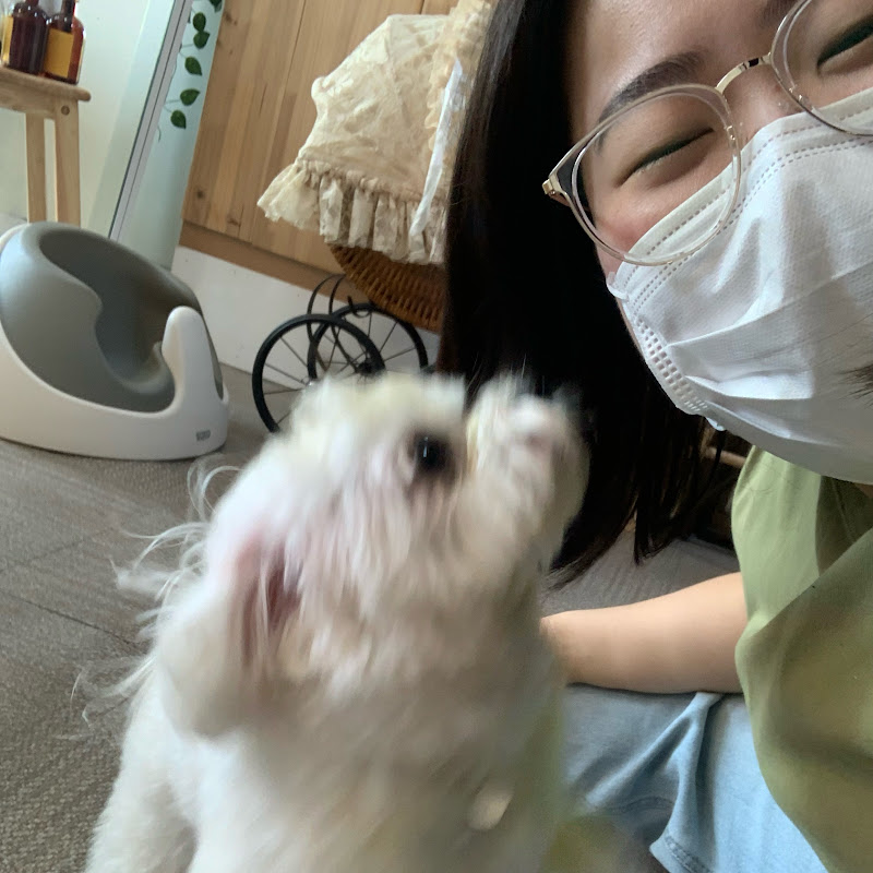 동네육사[육평 사진관]
