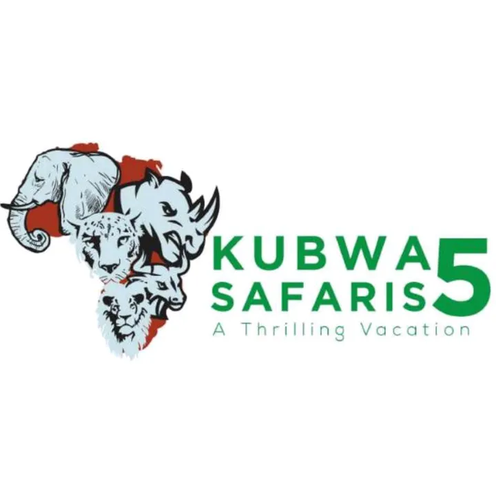 Kubwa Five Safaris