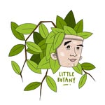 Littlebotany