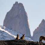 Ecochile & Ecoargentina Travel🏔 Bespoke Travel Planners