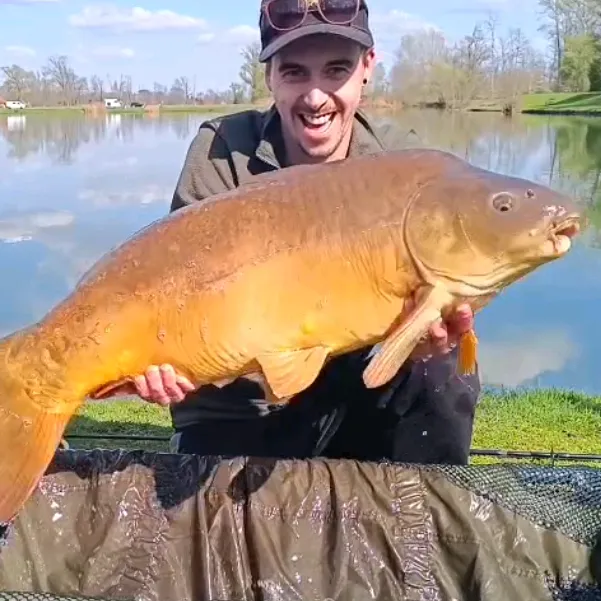 guppy_catcher_official