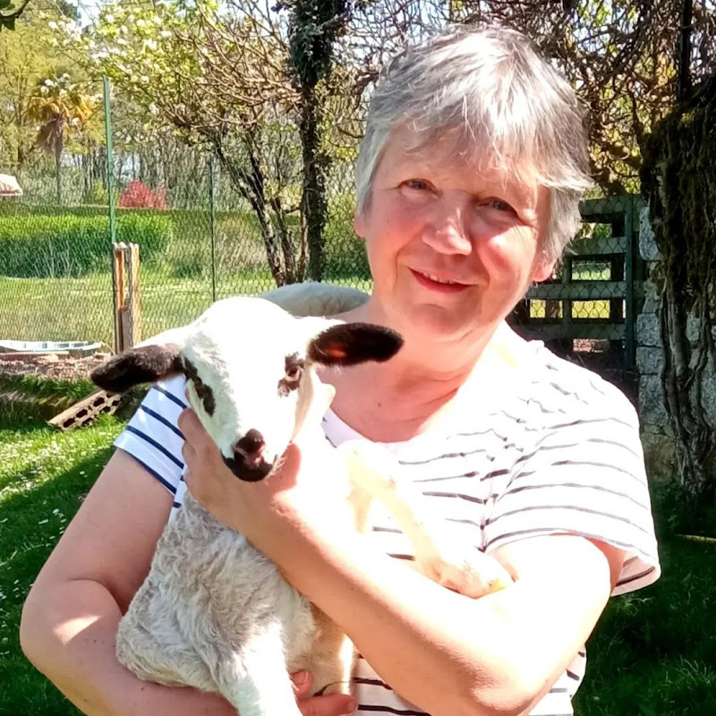 Sustainable Self Sufficiency 