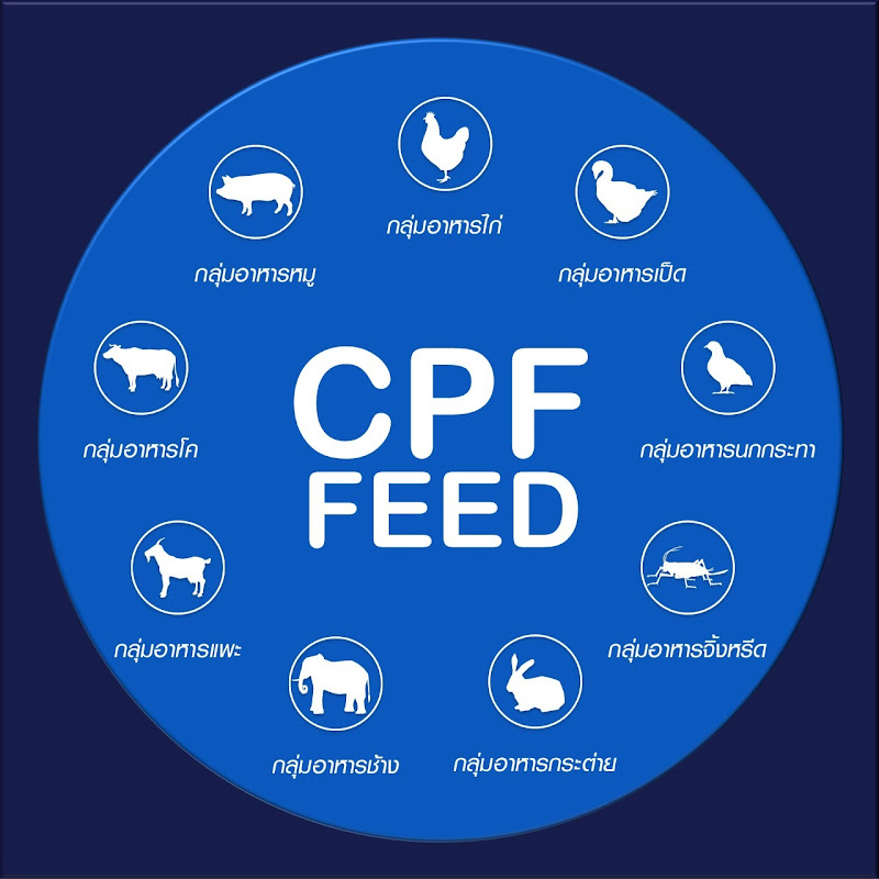 CPF Feed Solution