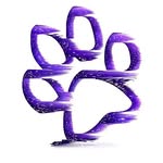 Pawsome Pets UAE