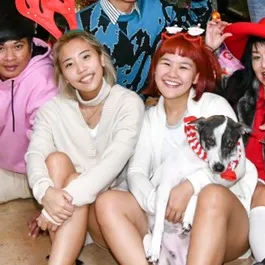 MiiDysister