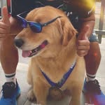 Otniel Marlon Maengkom