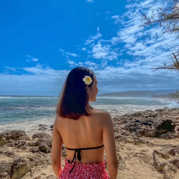 ✨𝓢ℯ𝓃ℊ✨