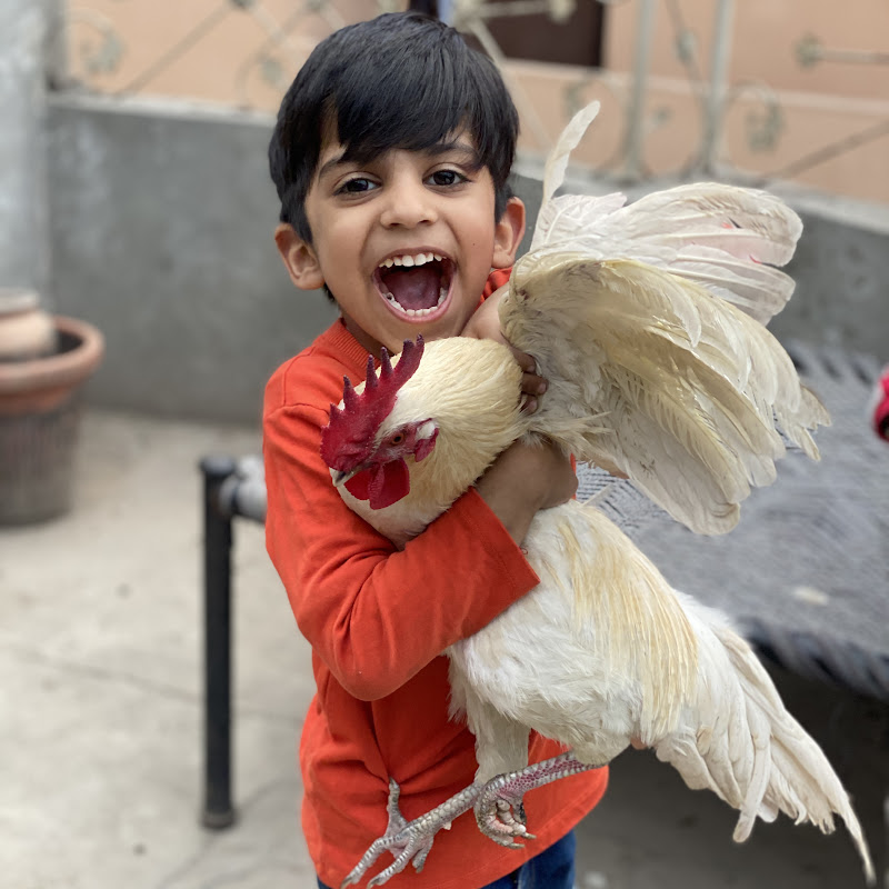 Hasnain Choto Vlogs