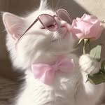 HeyItsHina | Pink Parcel Days 🎀