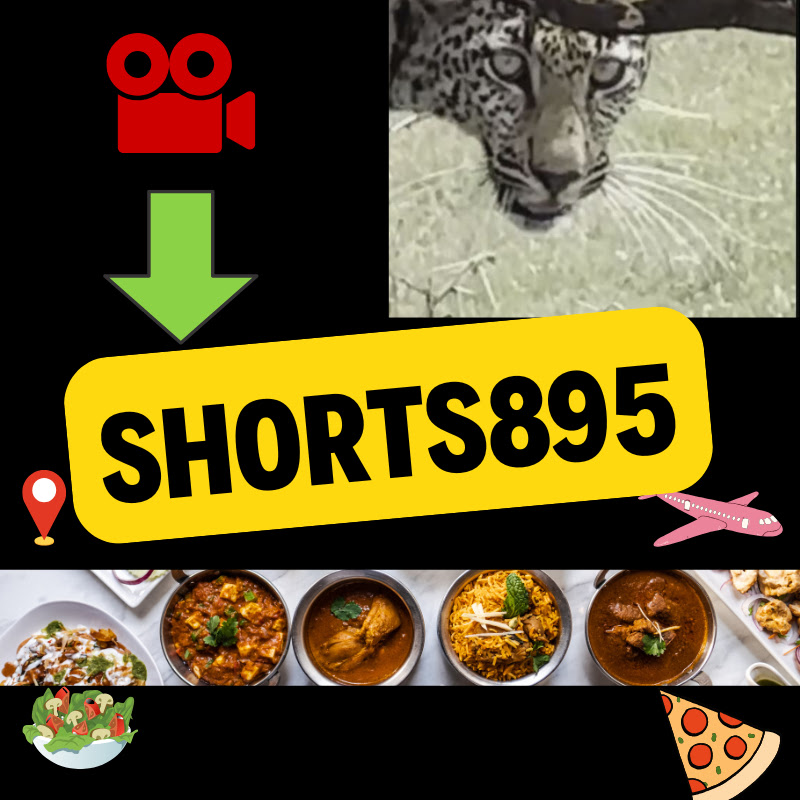 ShortSnShorts895