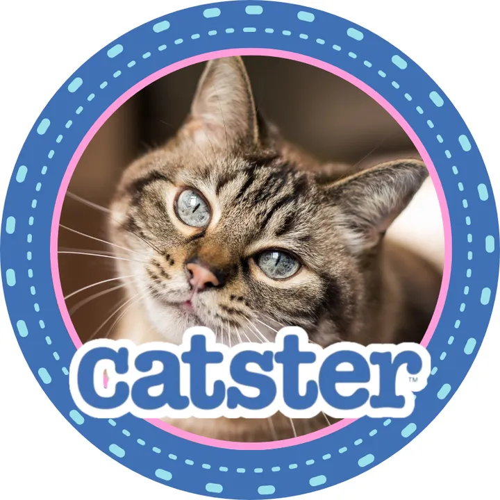 catstermag
