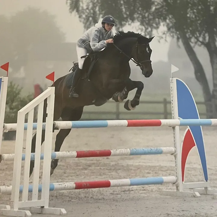 𝕐𝕦𝕕𝕚𝕥𝕙 𝕋𝕣𝕦𝕔𝕙𝕖𝕥