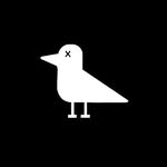Albatross