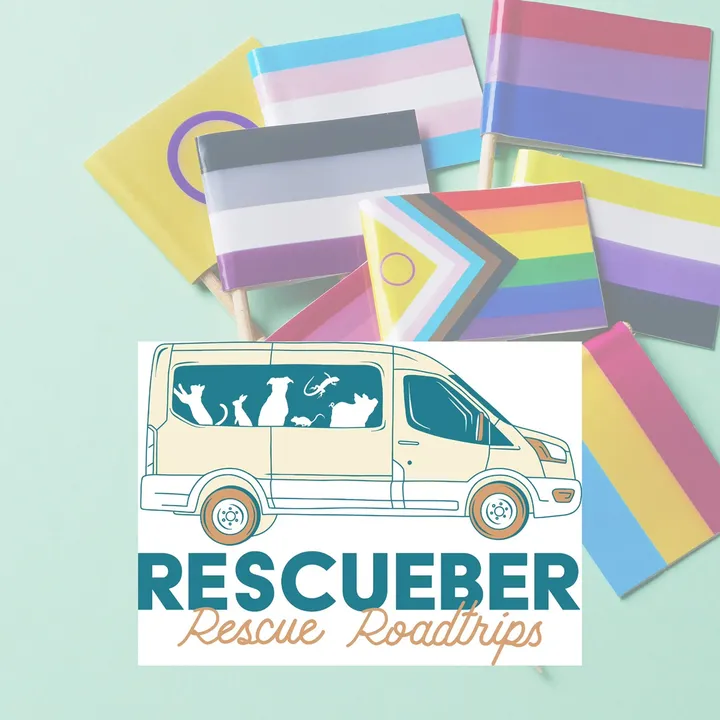 Rescue Rides, Foster Fun!