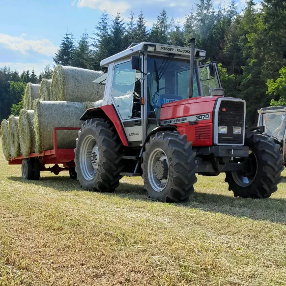 mathys Gillet 🇧🇪👨‍🌾🌾🚜🐂