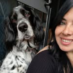 Mucchino il king dei setter