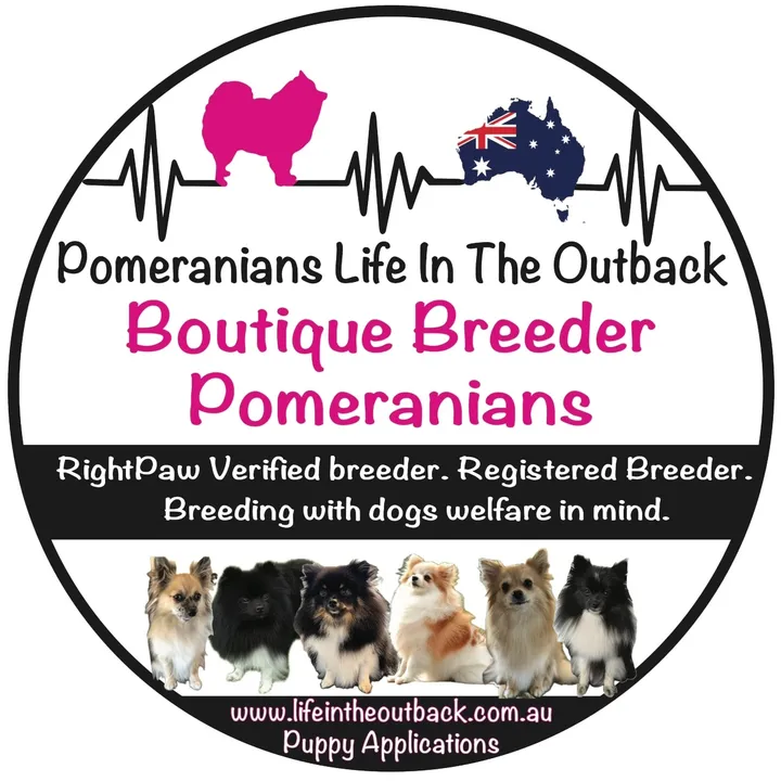 Pomeraniansauz