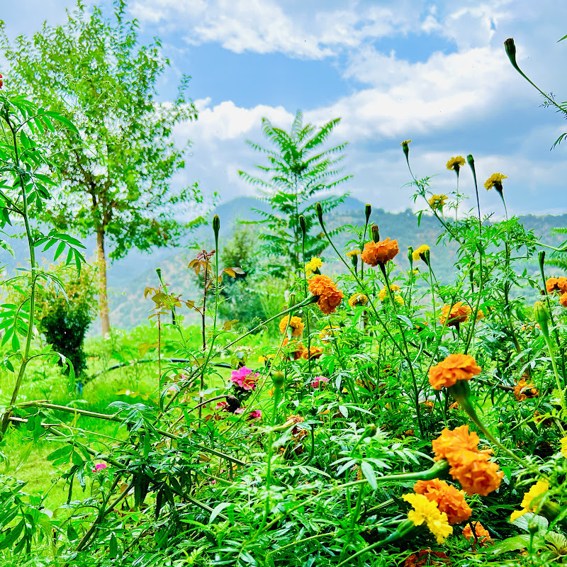 World Natural Beauty