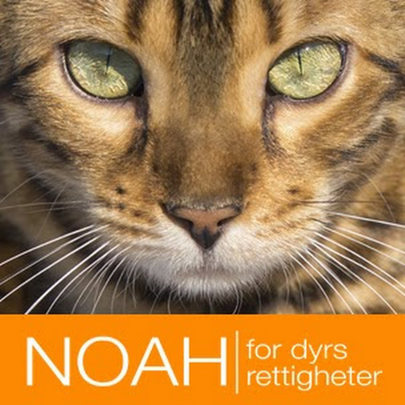 NOAH - for animal rights