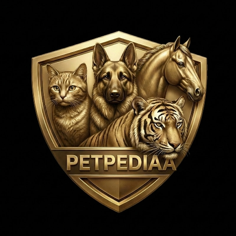 PETPEDIAA 