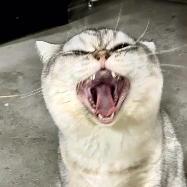LucyThemoew