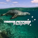 Travis Petford Photography