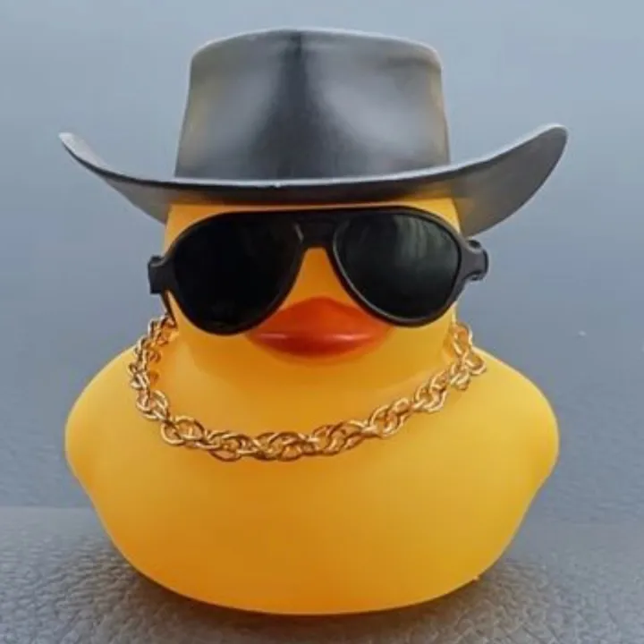 Duck Universe