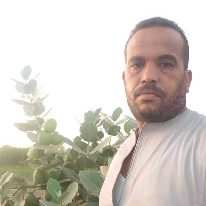 @@الصياد@@