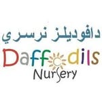 Daffodils Nursery