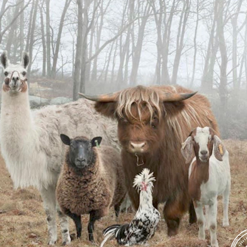 Paradise Builders-Ideas Frescas Ecolodge 