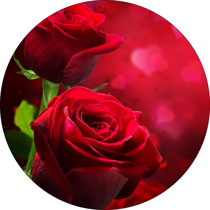 Románticas Viejitas