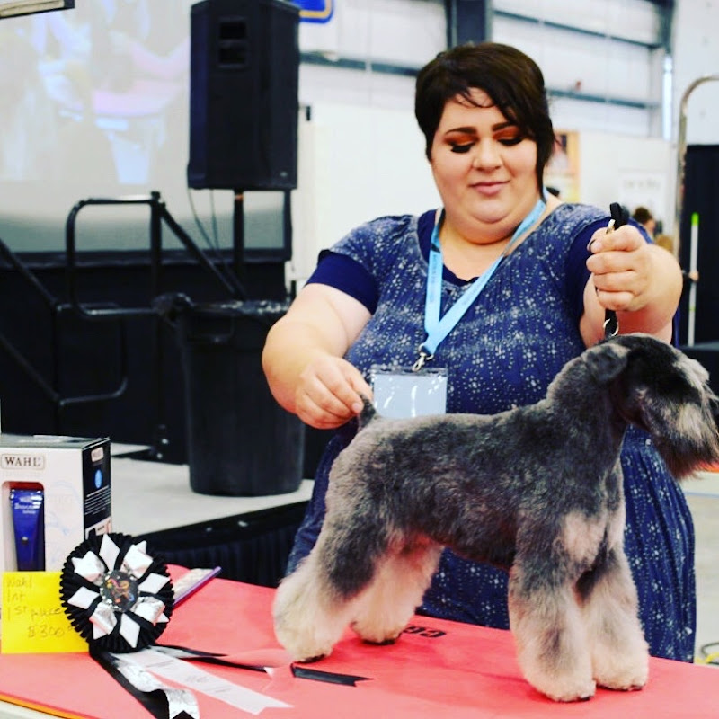 The Everyday Pet Groomer