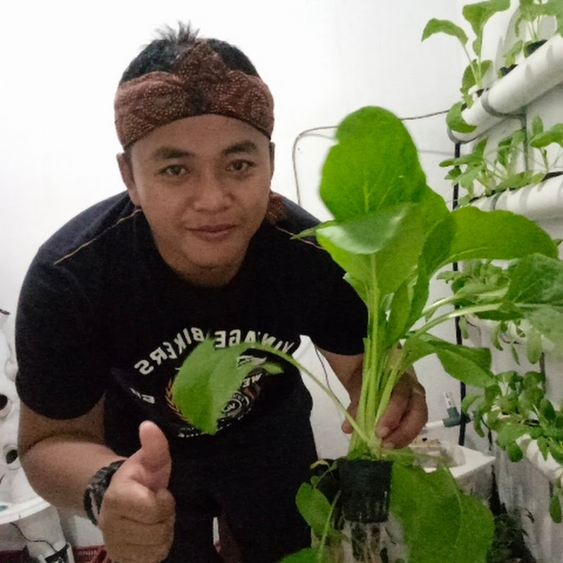 petani masa gini
