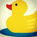 Ducklings Toy Shop