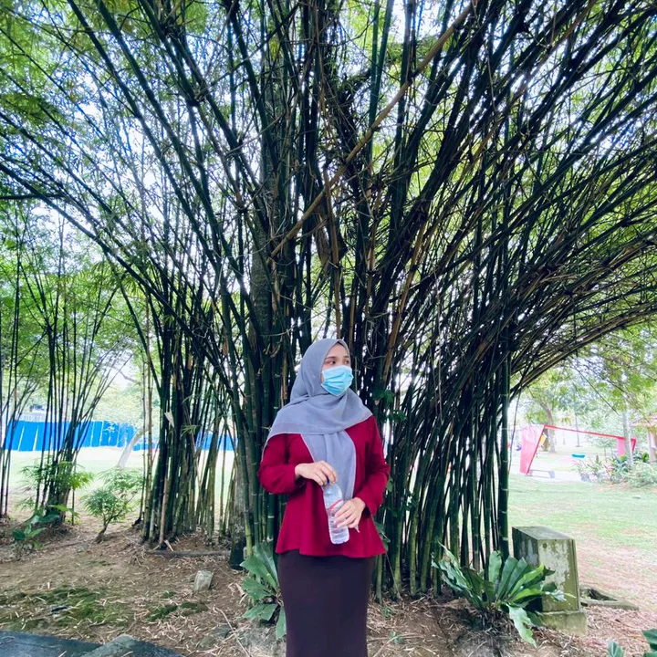 Ara🎧