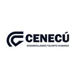 Cursos Cenecú