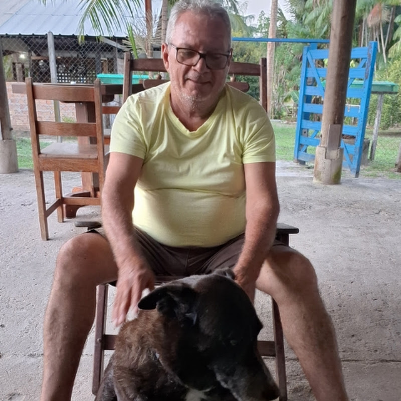 Aventuras do Pereira 
