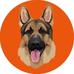 STRIDER THE GERMAN SHEPHERD