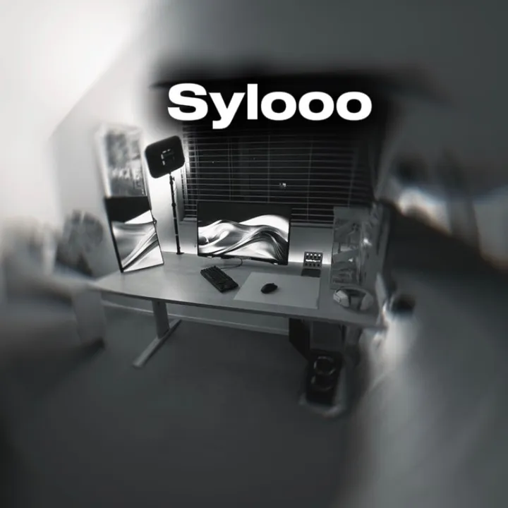 sylooo9.tech
