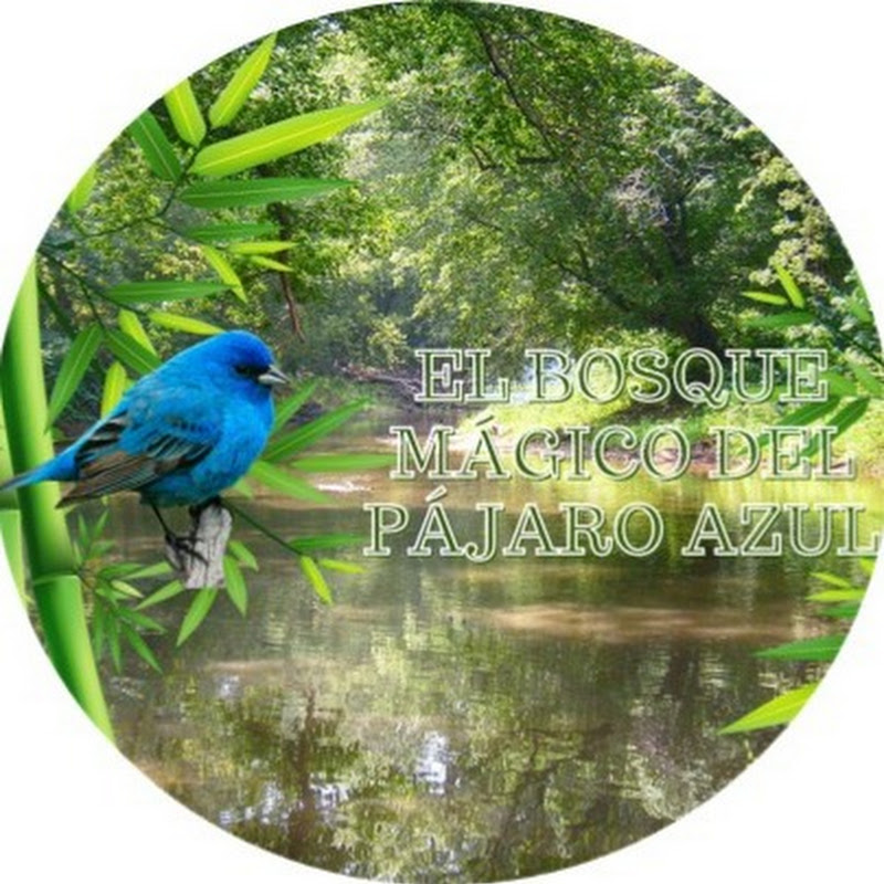 EL BOSQUE MÁGICO DEL PÁJARO AZUL